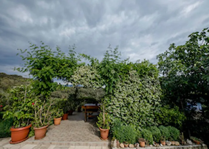 & Bay - Two Bedroom With Balcony And Sea View App 6
